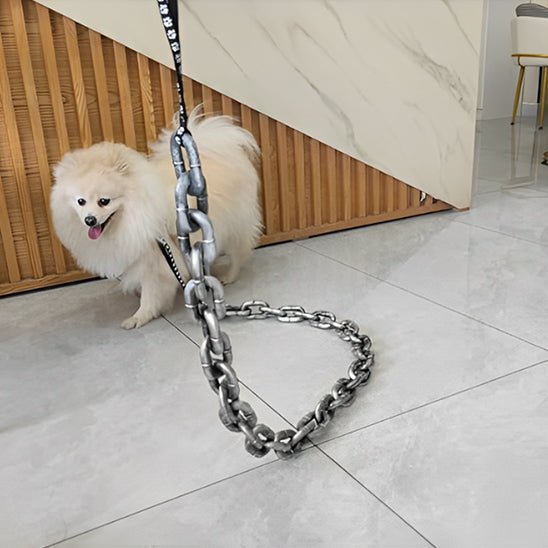laisse chien | ChicLaisse - empire chien