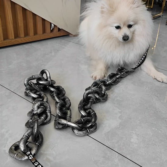 laisse chien | ChicLaisse - empire chien