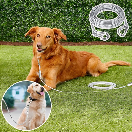 laisse chien | CourLaisse - empire chien