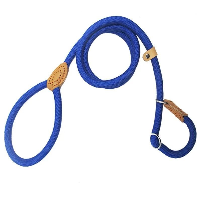 Laisse chien | LaissePro - empire chien