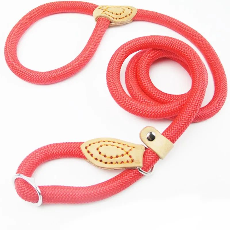 Laisse chien | LaissePro - empire chien