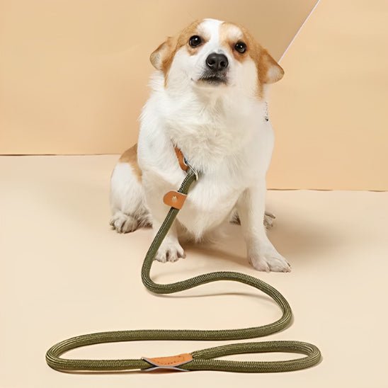 Laisse chien | LaissePro - empire chien