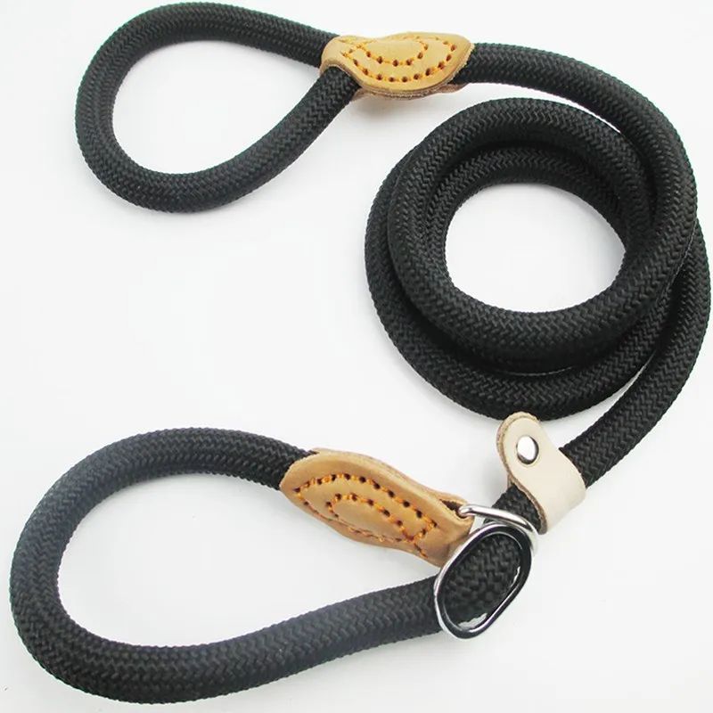 Laisse chien | LaissePro - empire chien