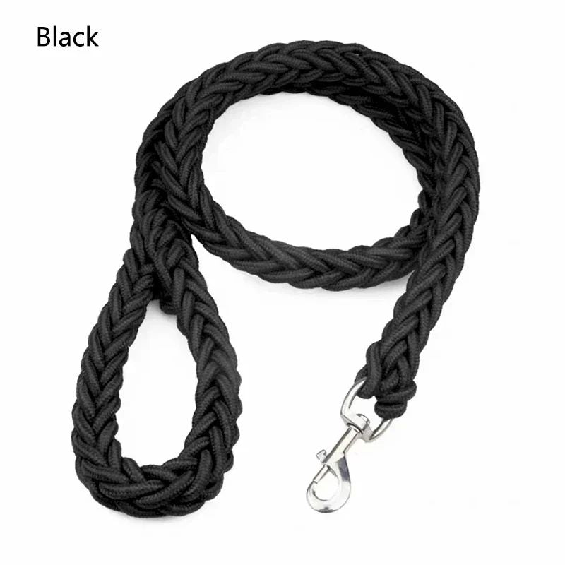 Laisse chien | Traxi - empire chien