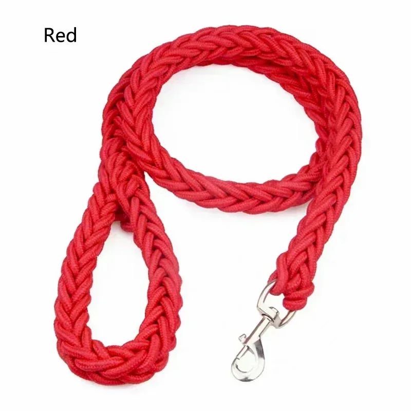 Laisse chien | Traxi - empire chien