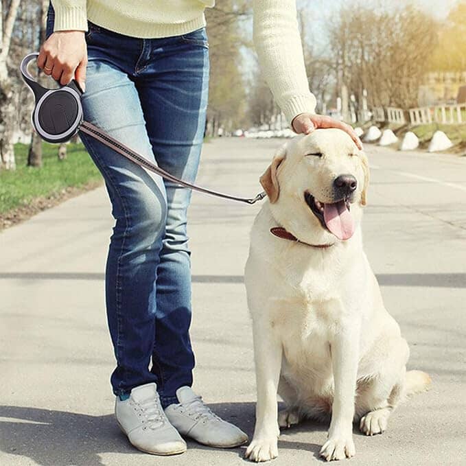 Laisse de chien - MaxLeash™ - Noir - empire chien