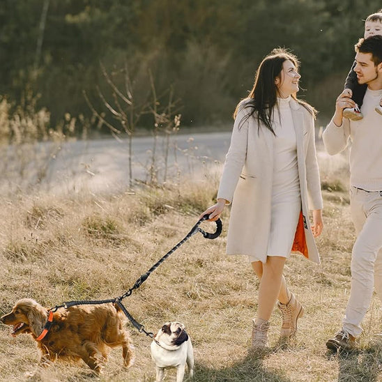 laisse double pour chien balade joie famille