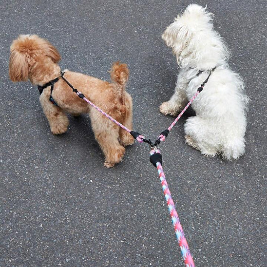 laisse double pour chien cool