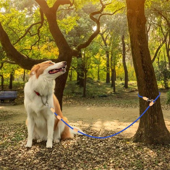 laisse double pour chien promenade