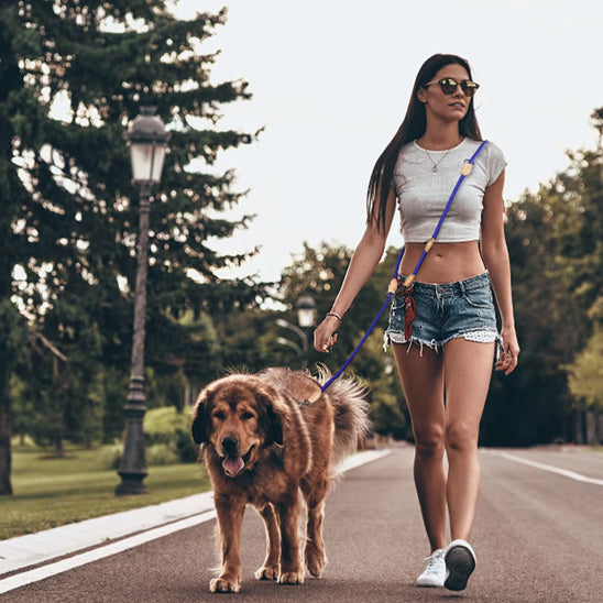 laisse double pour chien top