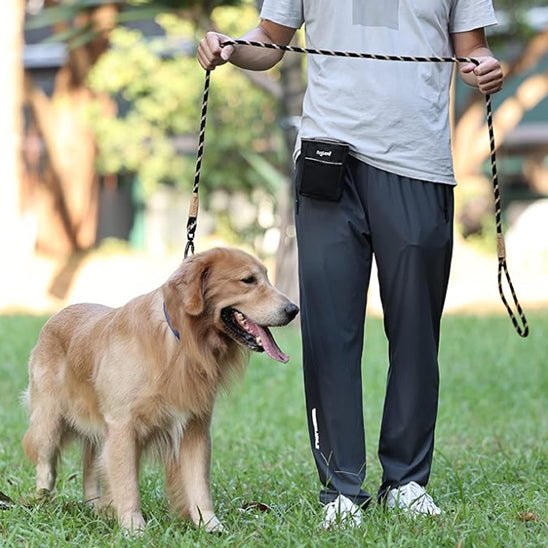 Laisse pour chien | prominou - empire chien
