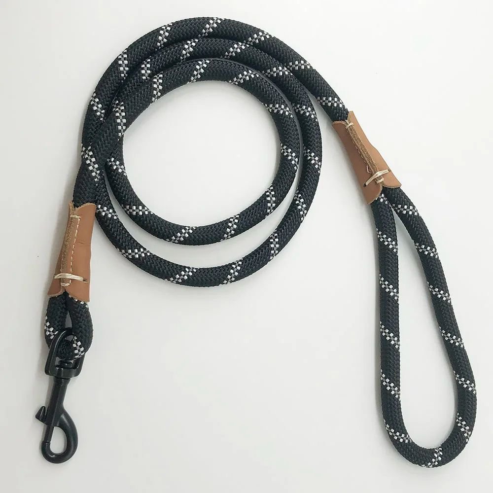 Laisse pour chien | prominou - empire chien