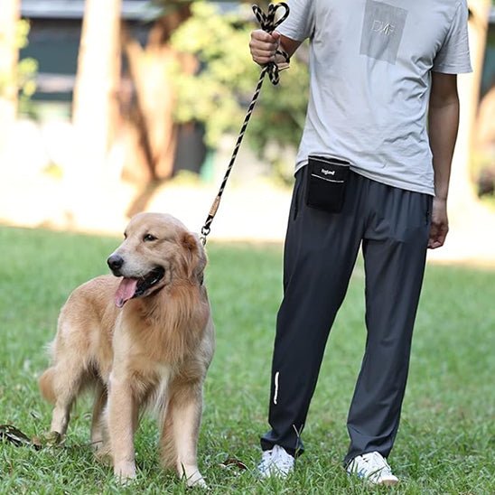 Laisse pour chien | prominou - empire chien