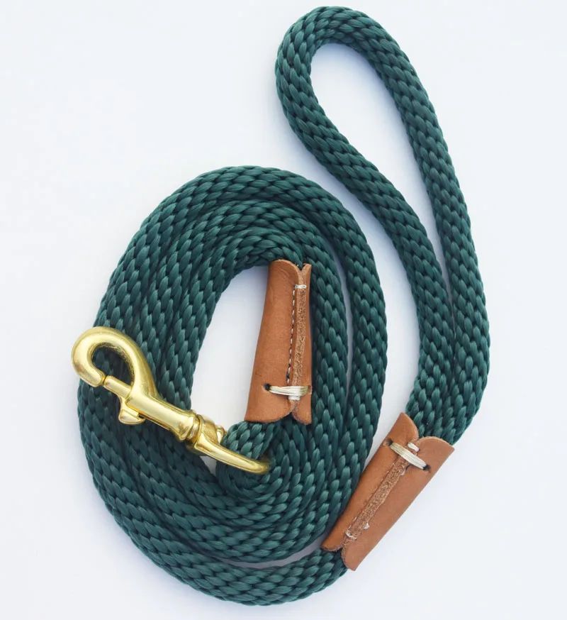 Laisse pour chien | prominou - empire chien