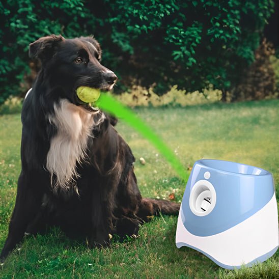 Lanceur de balle pour chien | Chienjet - empire chien