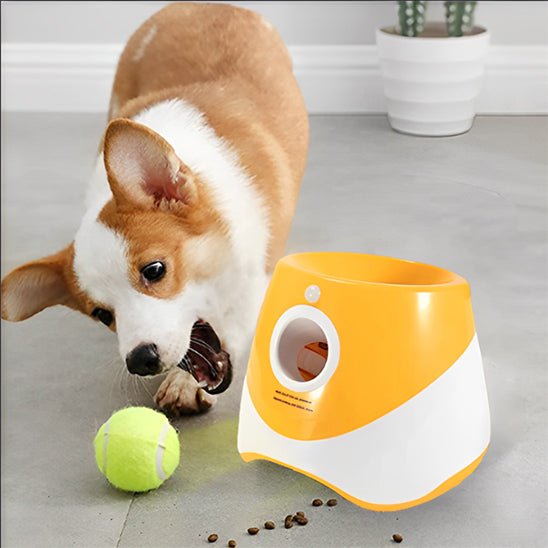 Lanceur de balle pour chien | Chienjet - empire chien