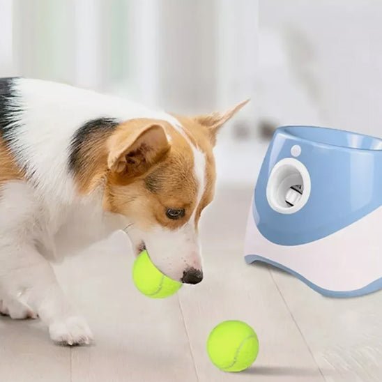 Lanceur de balle pour chien | Chienjet - empire chien