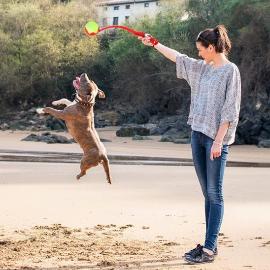 Lanceur de balle pour chien | LanceToutou - empire chien