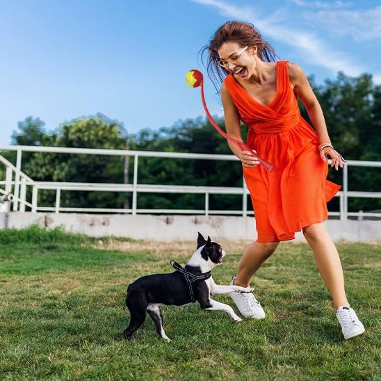 Lanceur de balle pour chien | LanceToutou - empire chien