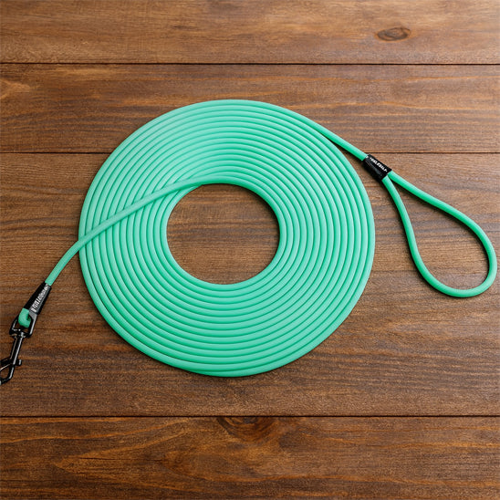 longue pour chien vert