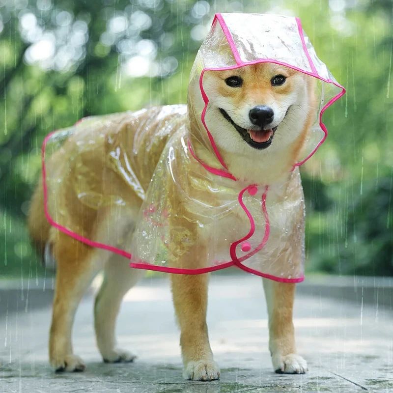 Manteau chien | Canipluie - empire chien