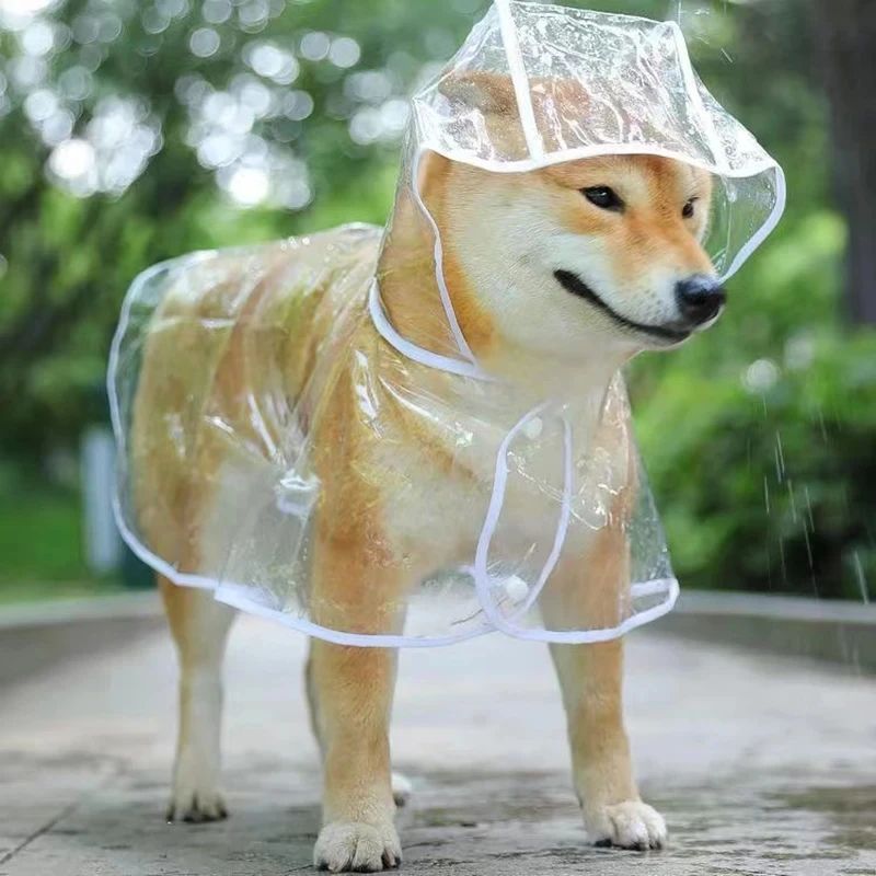 Manteau chien | Canipluie - empire chien
