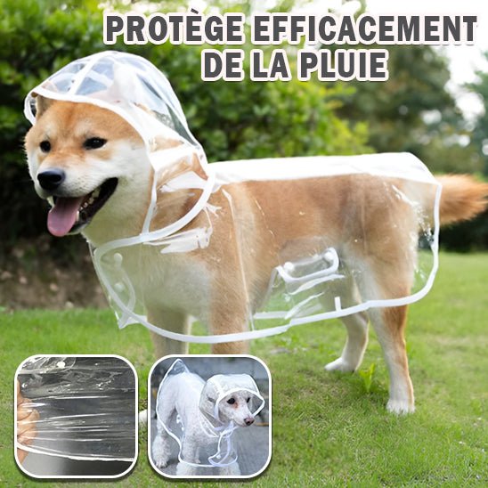 Manteau chien | Canipluie - empire chien