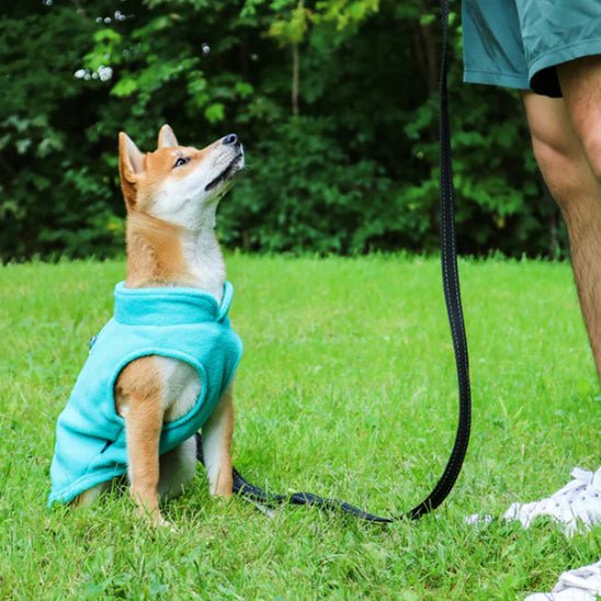 Manteau chien | ManteauDoux - empire chien