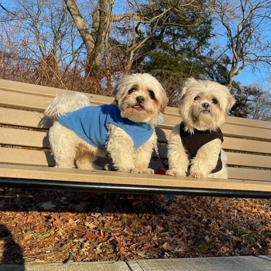 Manteau chien | ManteauDoux - empire chien