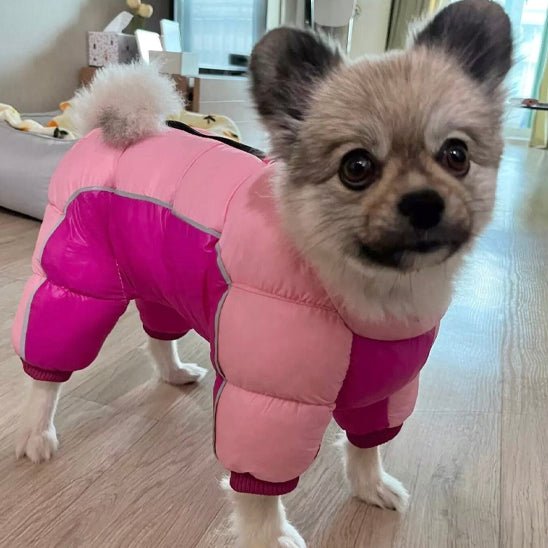 Manteau pour chien | chicManteau - empire chien
