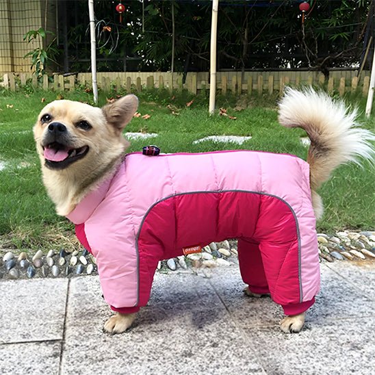 Manteau pour chien | chicManteau - empire chien