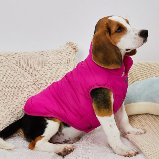 Manteau pour chien | ChouManteau - empire chien