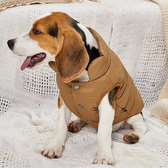 Manteau pour chien | ChouManteau - empire chien