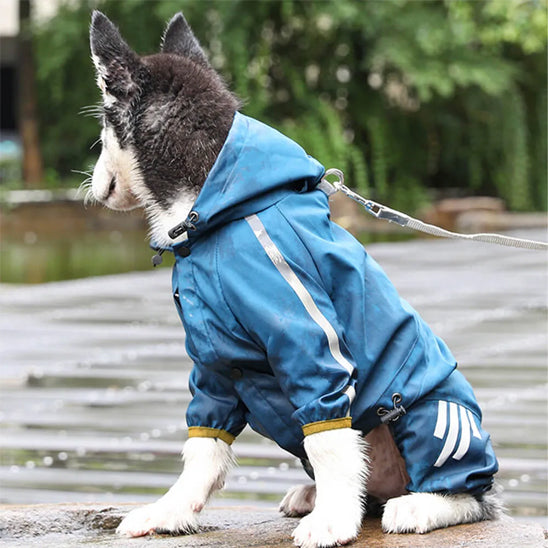 manteau pour chien contre la pluie