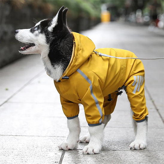 manteau pour chien jaune