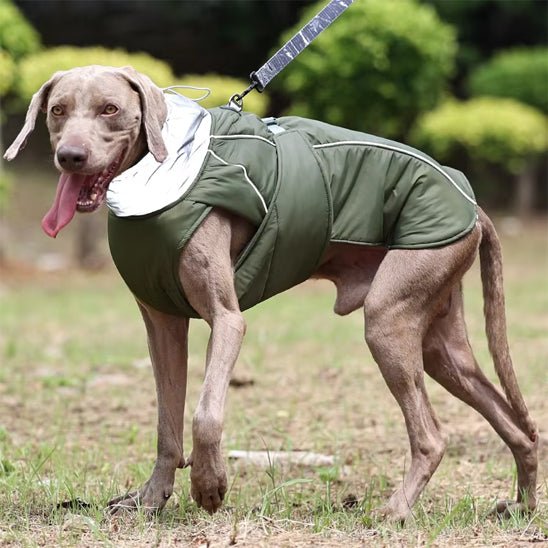 Manteau pour chien | Toutoufroid - empire chien