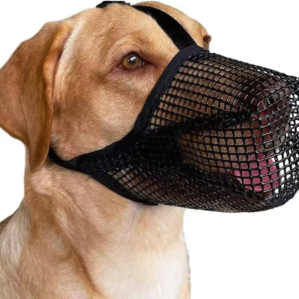 Muselière pour chien | Muzen - empire chien