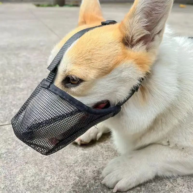 Muselière pour chien | Muzen - empire chien
