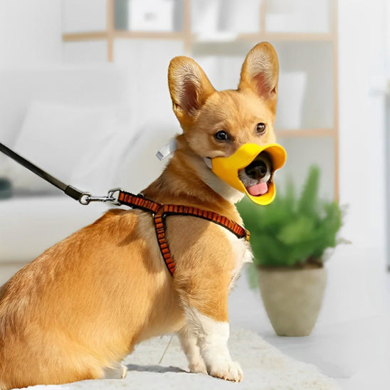 museliere pour chien