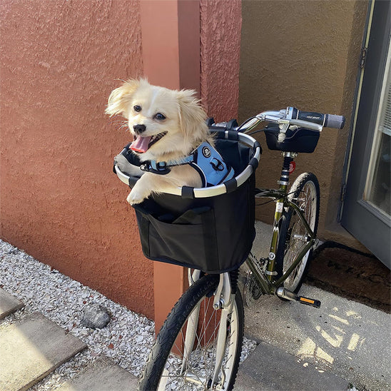 panier velo chien supere