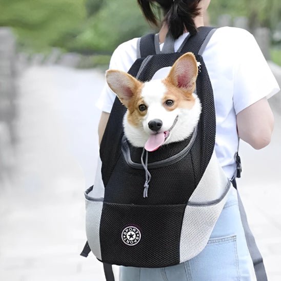 sac a dos chien | Doschien - empire chien
