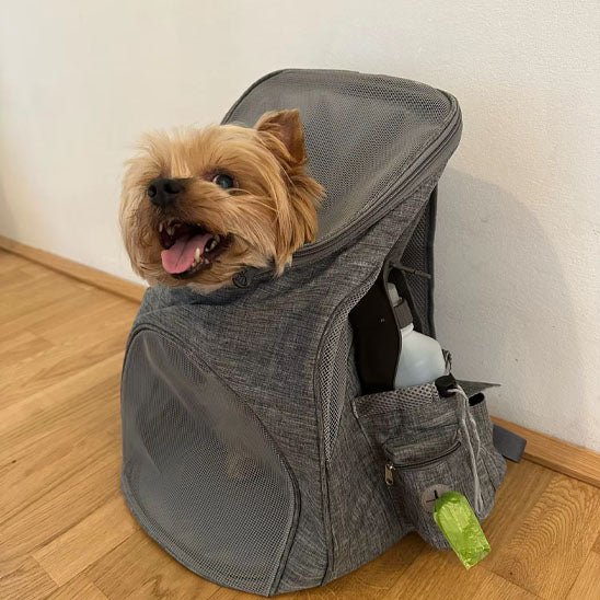 Sac a dos chien | Portachiens - empire chien