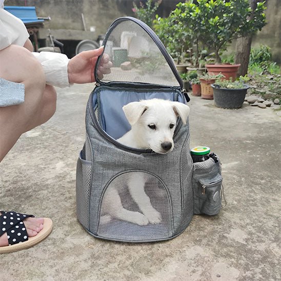 Sac a dos chien | Portachiens - empire chien