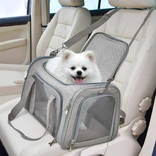 Sac de transport chien | SacCompagnon - empire chien