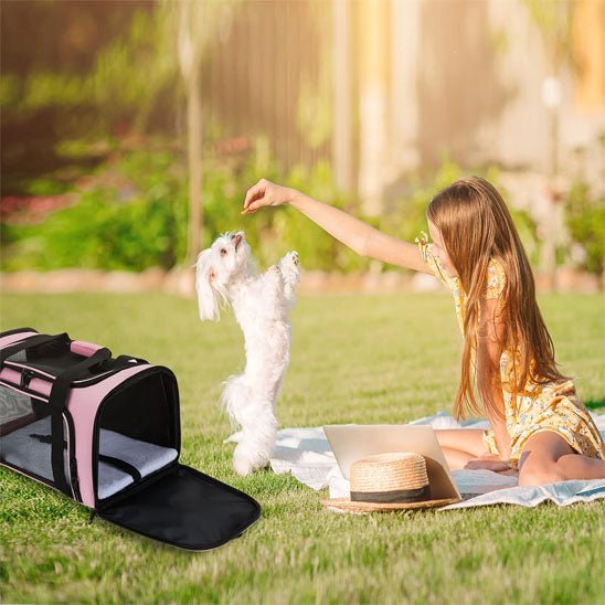 Sac de transport chien | SacCompagnon - empire chien