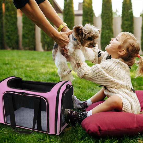 Sac de transport chien | SacCompagnon - empire chien