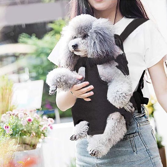 Sac de transport chien | Transpatt - empire chien