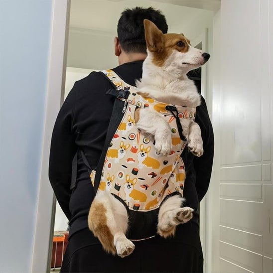Sac de transport chien | Transpatt - empire chien