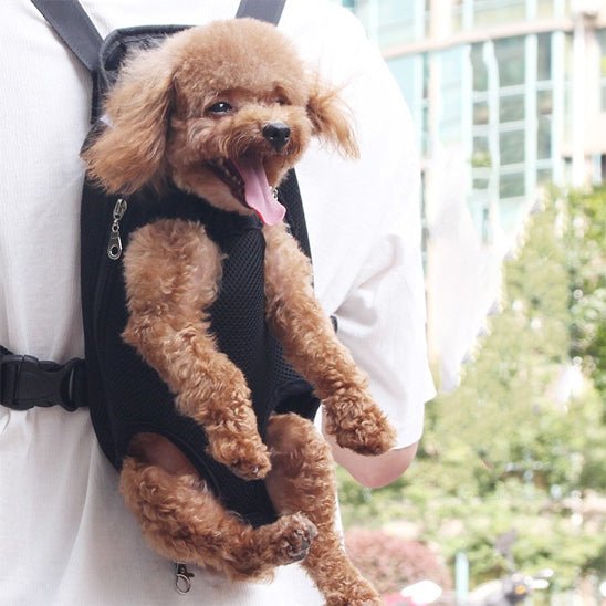 Sac de transport chien | Transpatt - empire chien