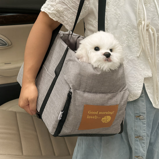 sac de transport pour chien marche